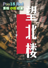 望北楼高小琴